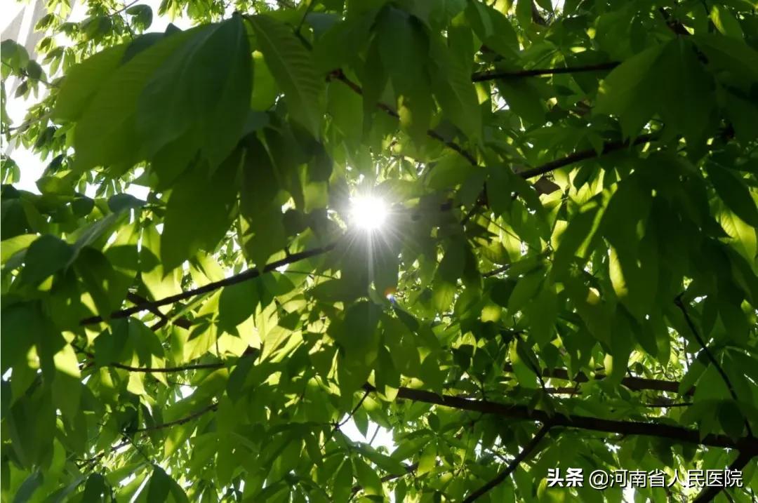 急性心梗做了支架却还是死亡,急性心梗抢救过来必须做手术么