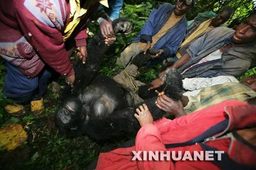 世界上的大瘟疫,世界大瘟疫后会发生什么