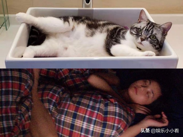 阿sa坐姿,阿sa仰头照