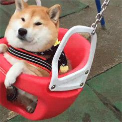 特色牛杂火锅,嘉香斋牛杂火锅怎么样