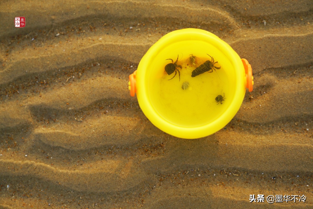威海5月游记,威海最美一日游