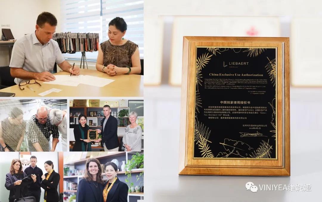 viniyea之美—匠心传承