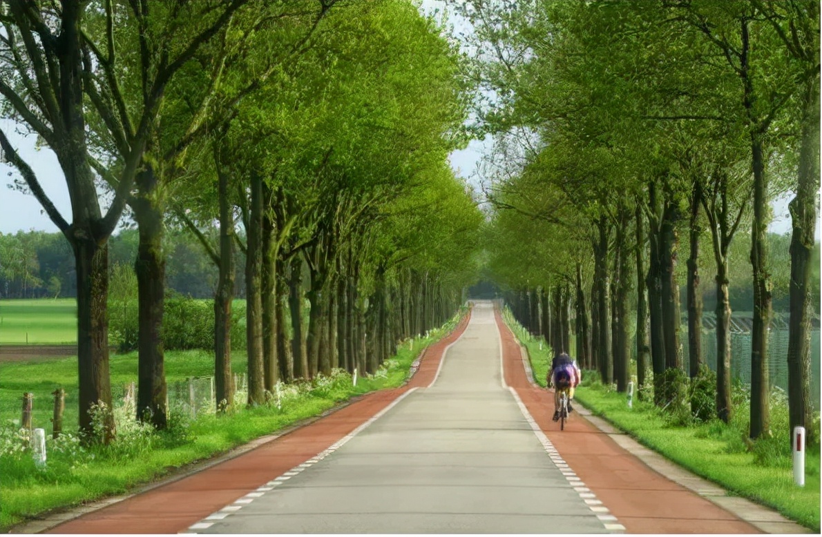 平安产险锡盟｜远离超速：不同道路的限速规定，你可得知道