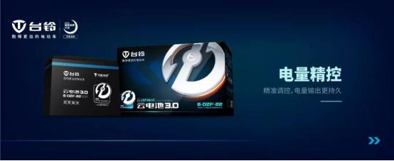 台铃狮子王详细介绍,台铃狮子续航300公里价格