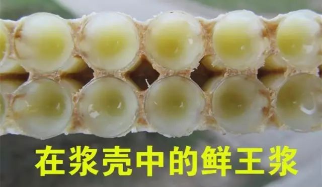 迪奥兰蔻香奈儿tf阿玛尼ysl哪个好,迪奥香奈儿阿玛尼ysl哪款好用