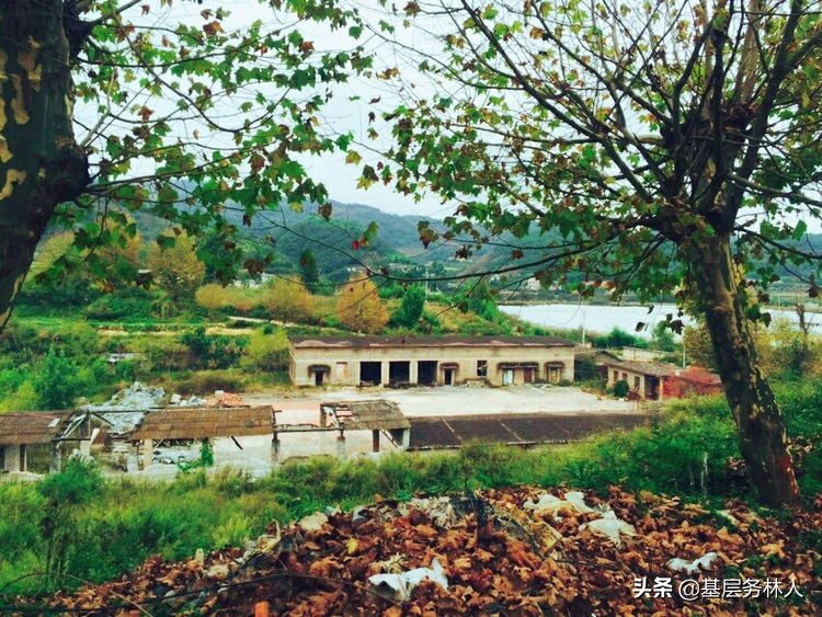 云南澄江兵工厂,云南兵工厂旧址