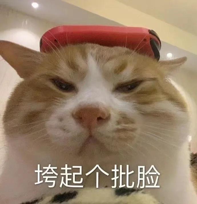 表情包搞笑沙雕惊讶的表情包,沙雕搞笑表情包动态