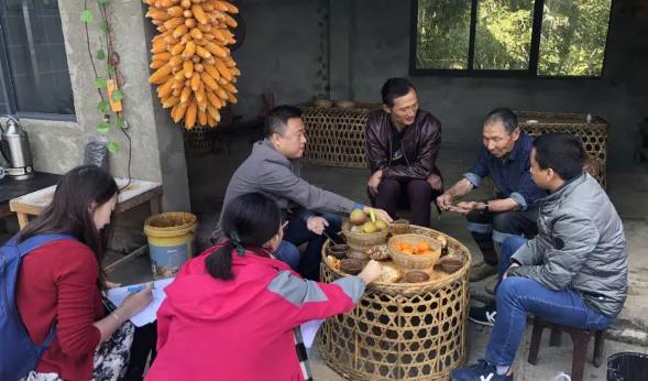 清华和文旅助力乡村振兴,清华同衡乡土景观