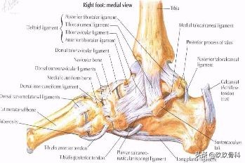 陈旧性踝关节损伤的治疗,踝关节损伤现场处理视频