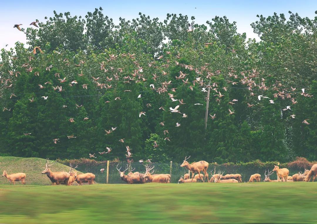 泰州中国最幸福的城市,泰州哪里比扬州好