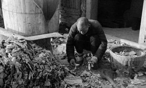 1942河南惨痛的历史悲剧,1942年河南亲历者