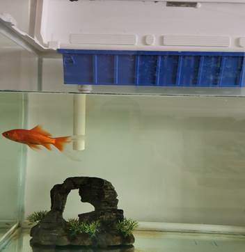 家庭自制鱼缸过滤器,自制鱼缸过滤器虹吸