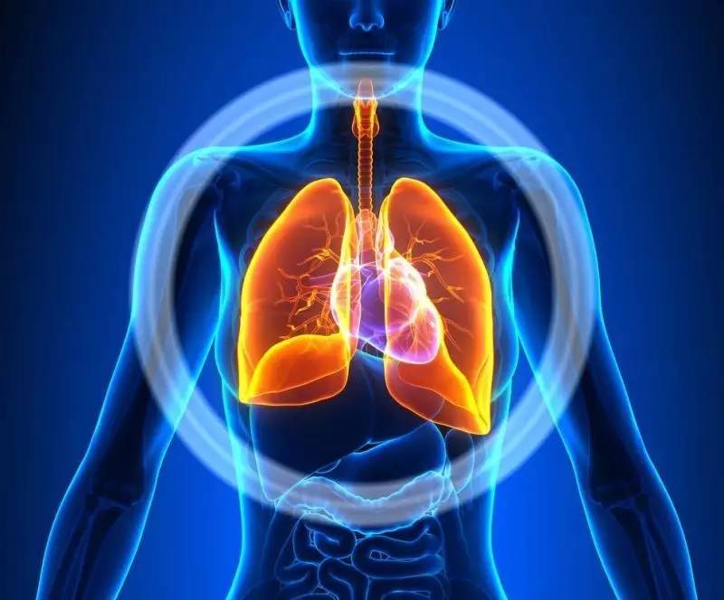 慢性呼吸衰竭的中医辨证,中医治疗二型呼吸衰竭