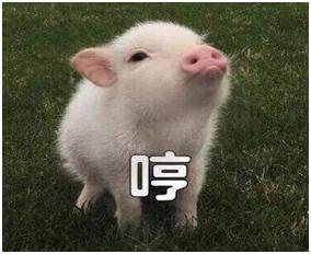 非洲猪瘟：“谈瘟色变”的时代，我们该教会孩子什么？