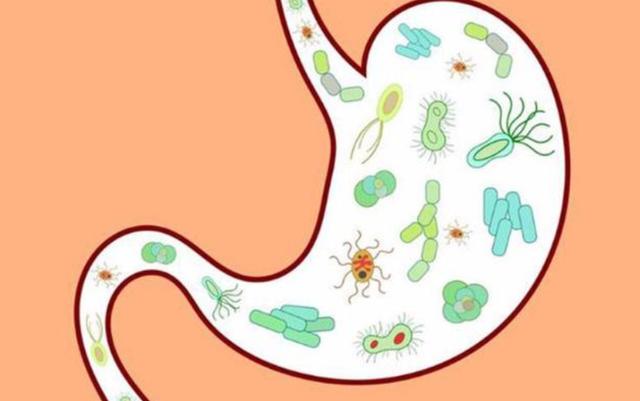 经常放屁是肝不好还是肾不好,经常放屁是肝不好还是消化不良