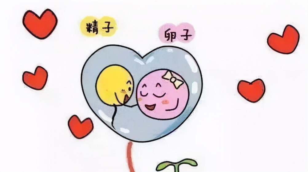 生殖医生杨炜敏,不知道自己为什么不怀孕