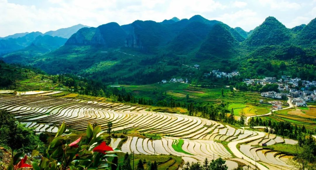 芳菲四月不负韶华,只闻花香不争朝夕唯美诗句