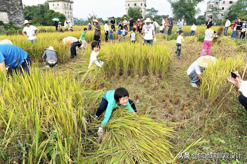 美丽乡村的盈利项目,美丽乡村项目的成功案例