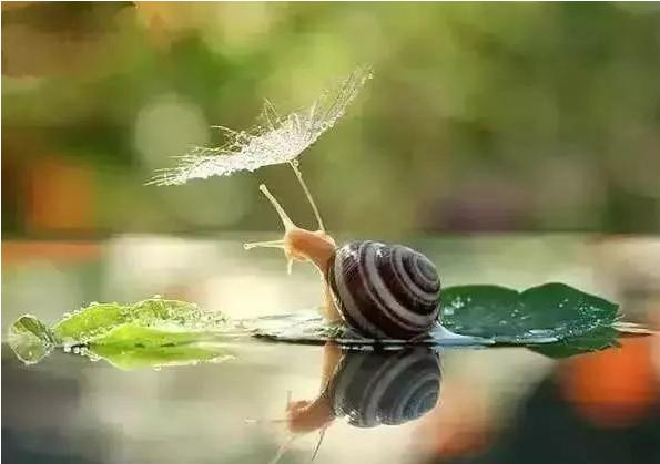 怎样缓解焦虑的情绪,缓解焦虑的音乐放松方法