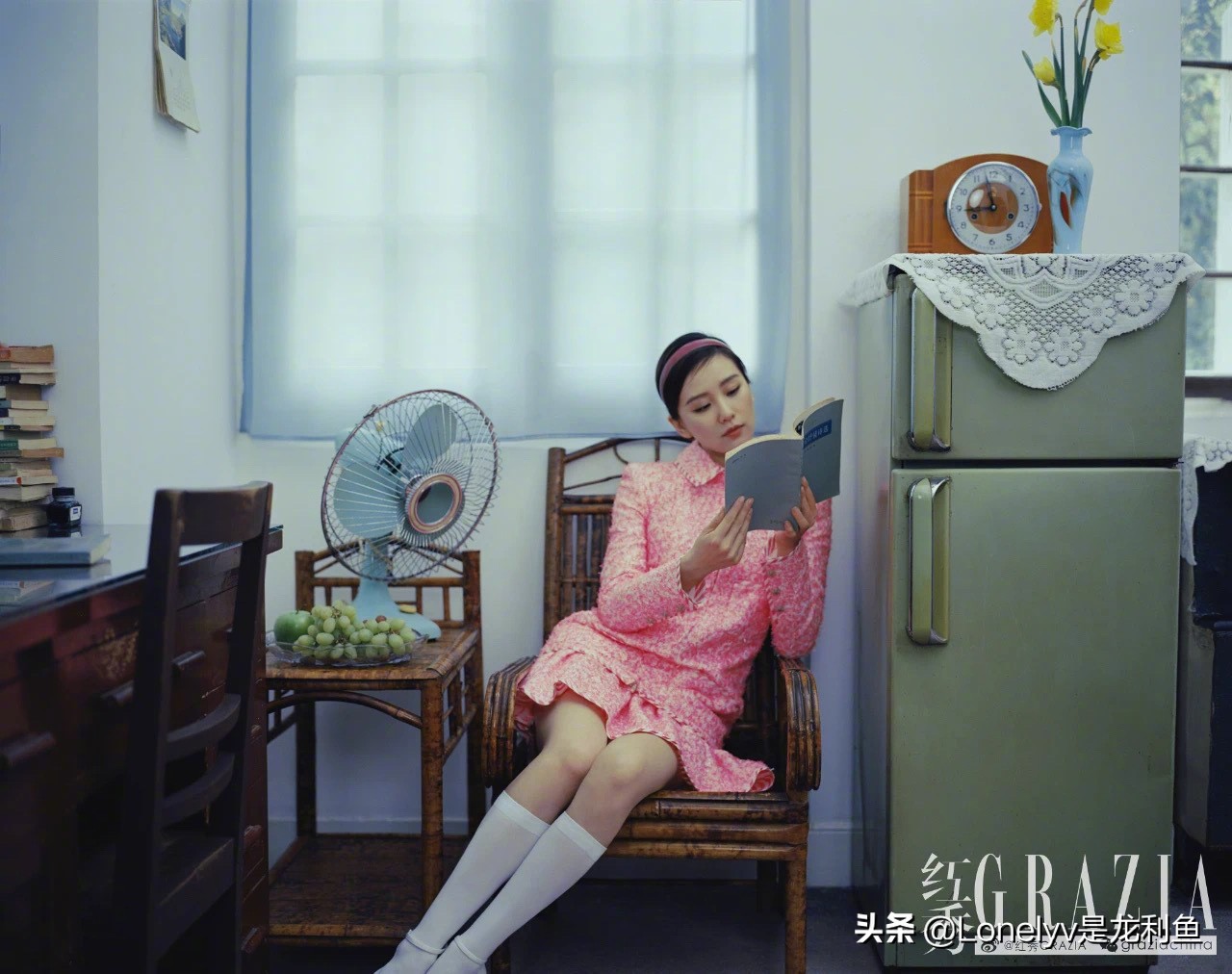 亦舒石榴图,亦舒的石榴图