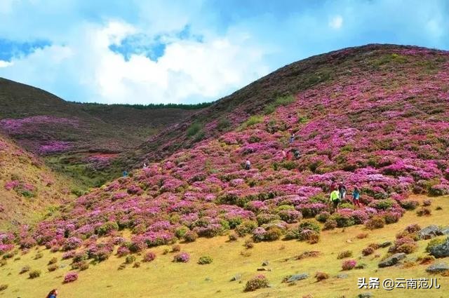 昆明周边五一去哪里,五一昆明周边搭帐篷