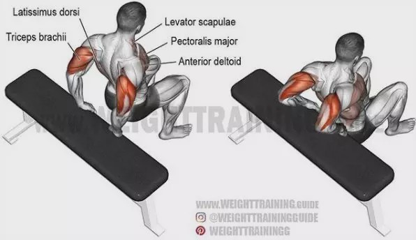 胸肩背臂腿腹训练动作,腰臀肌肉训练方法