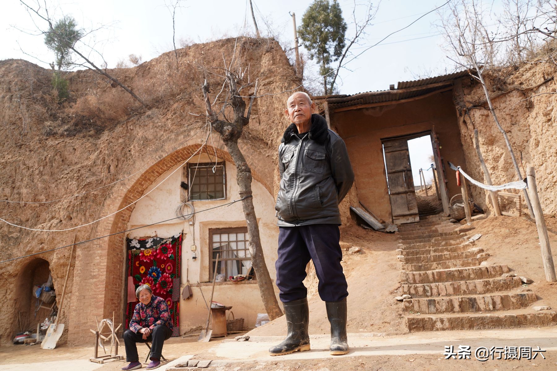 山西8旬大爷把母猪当宠物养，1窝小猪卖14600元，无本生意