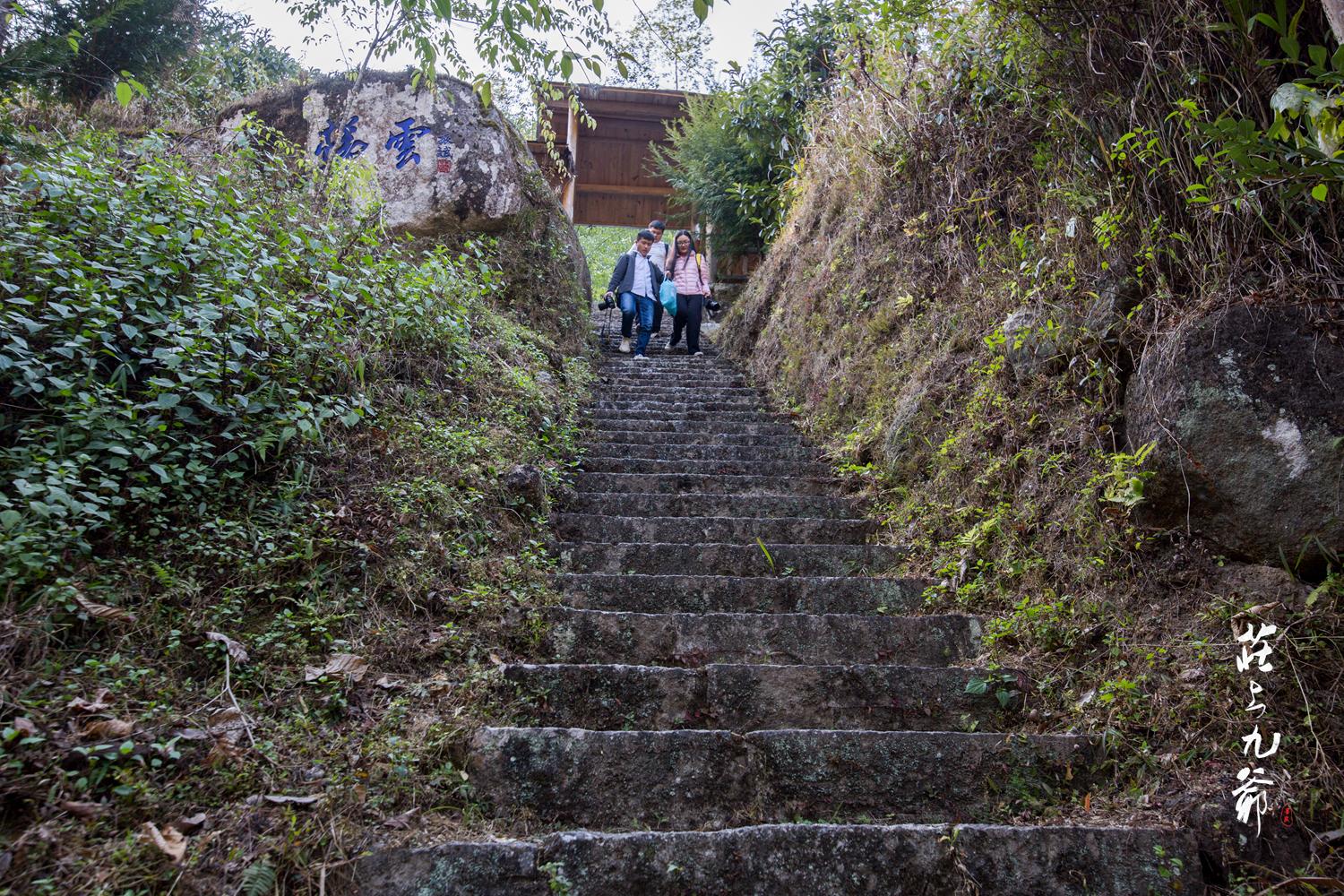 高黎贡山秘境森林,高黎贡山樱花谷温泉