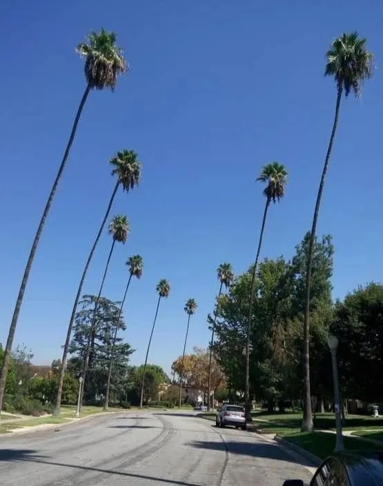 美国中餐馆打hei工的生活，每月收入2万.为好生活远走他乡。