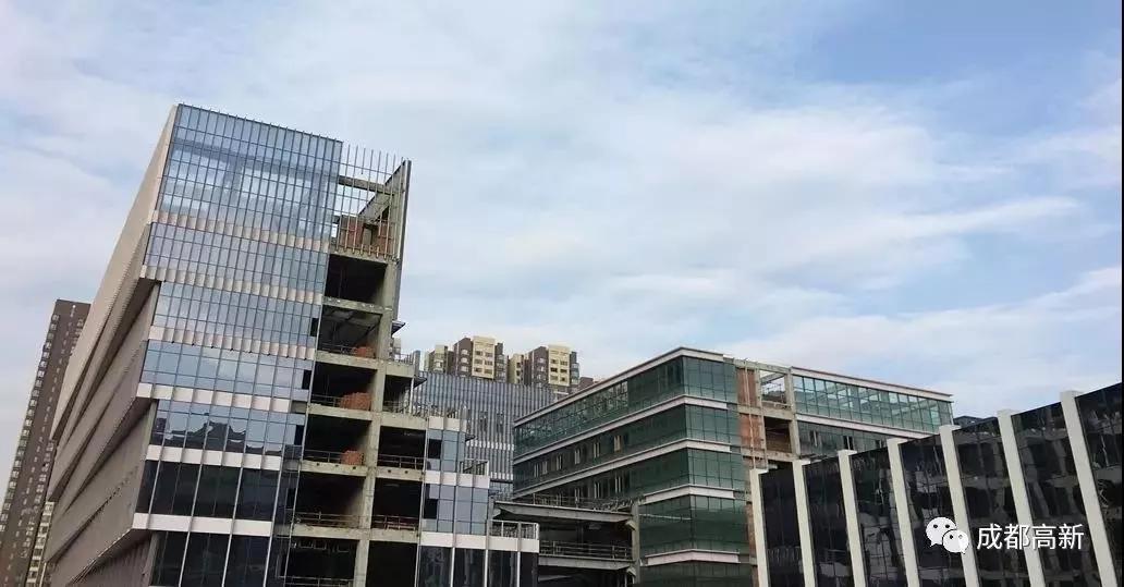 成都2024年火爆项目,巨变前夜智能网联汽车