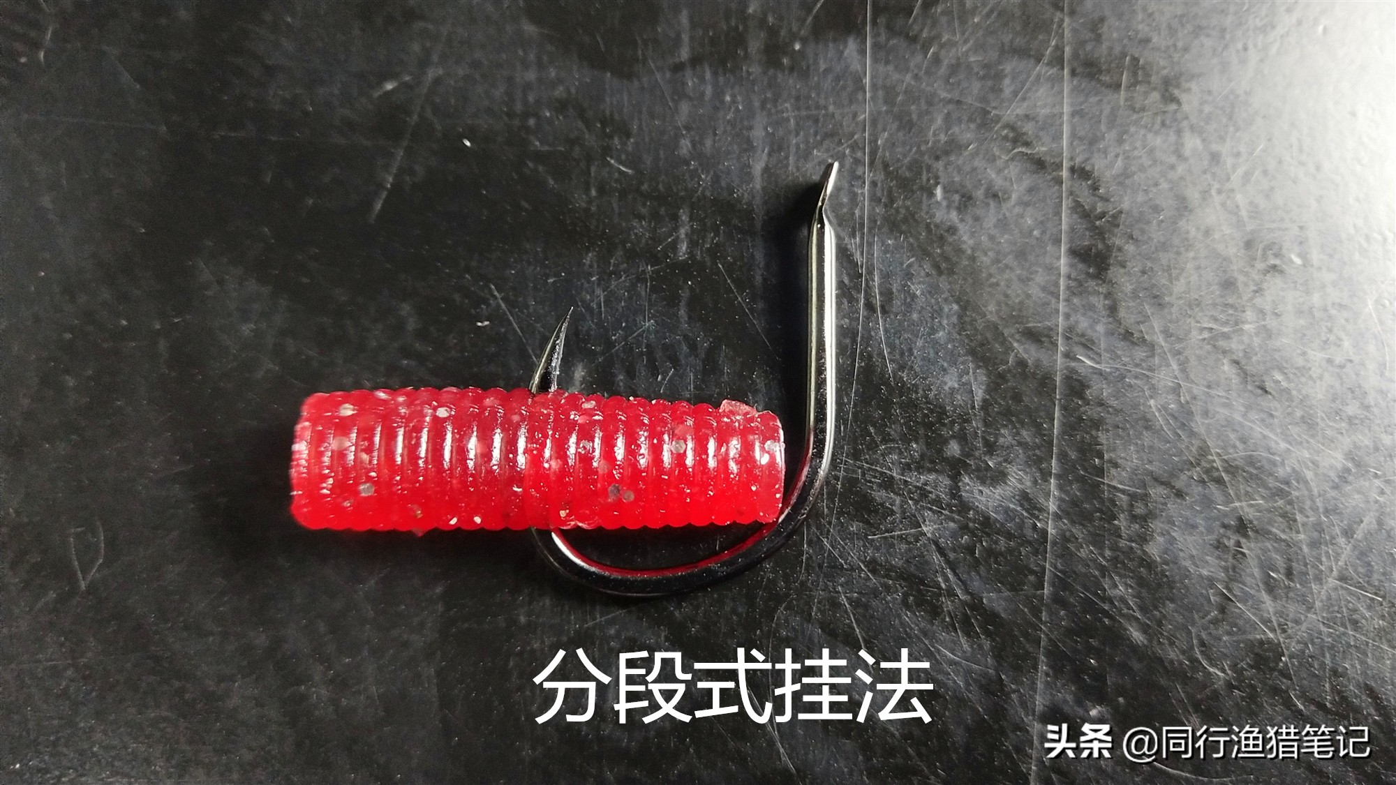 正确蚯蚓挂钩法钓小杂鱼,鱼比较小蚯蚓怎么挂钩