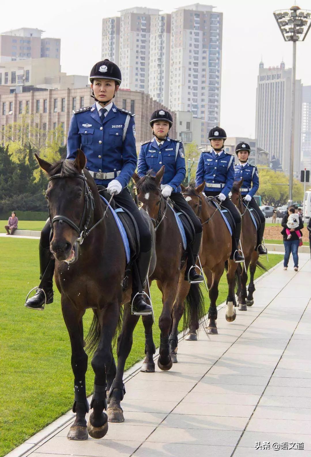 辽宁省大连市算不算东北人,大连有几个东北人