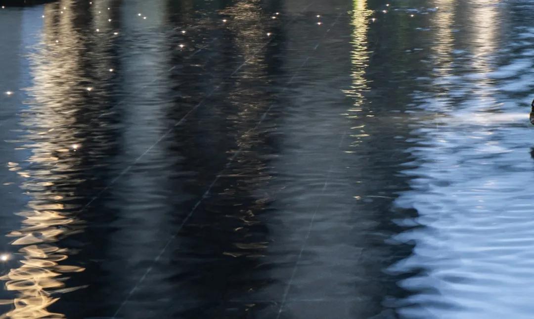 龙湖兰园天序露台,咫尺繁华的隐逸居所龙湖兰园天序