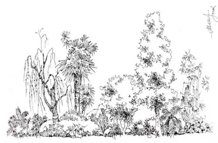 入门风景速写1000例临摹图,风景速写教你超简单的树木画法