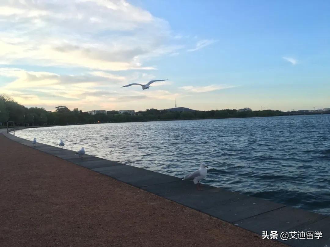 澳大利亚昆州新移民政策,澳洲昆州留学生最新通知