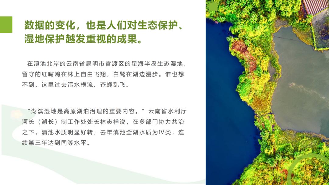 ppt文字过多怎么排版,ppt文字较多怎么排版