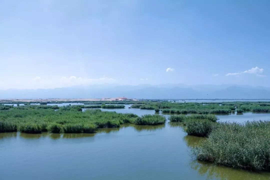 宁夏的夏天是什么样的,宁夏夏天有多热