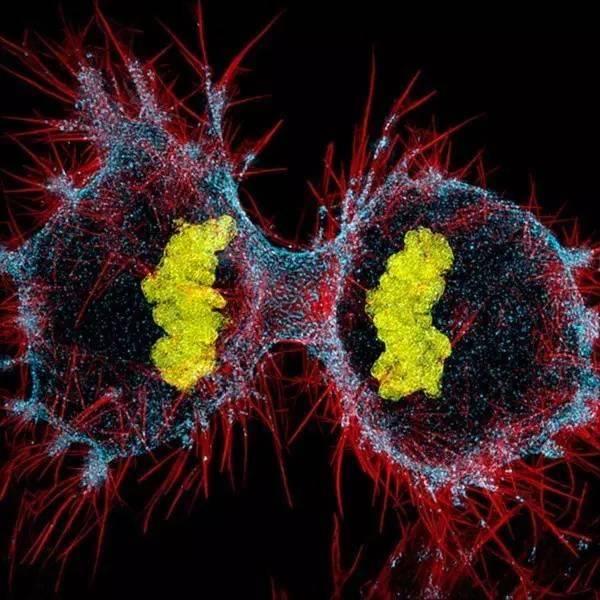 1920年出生，如今她还“活”在世上的各个角落