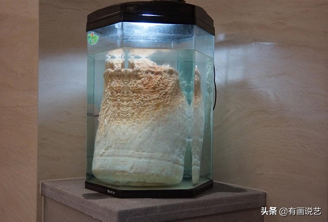 太岁是植物和动物的祖先么,太岁是一种什么东西是植物吗