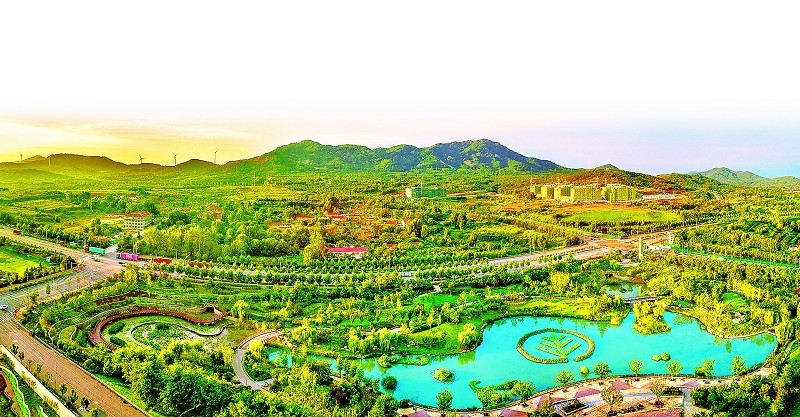 客从德国来“青”睐西海岸