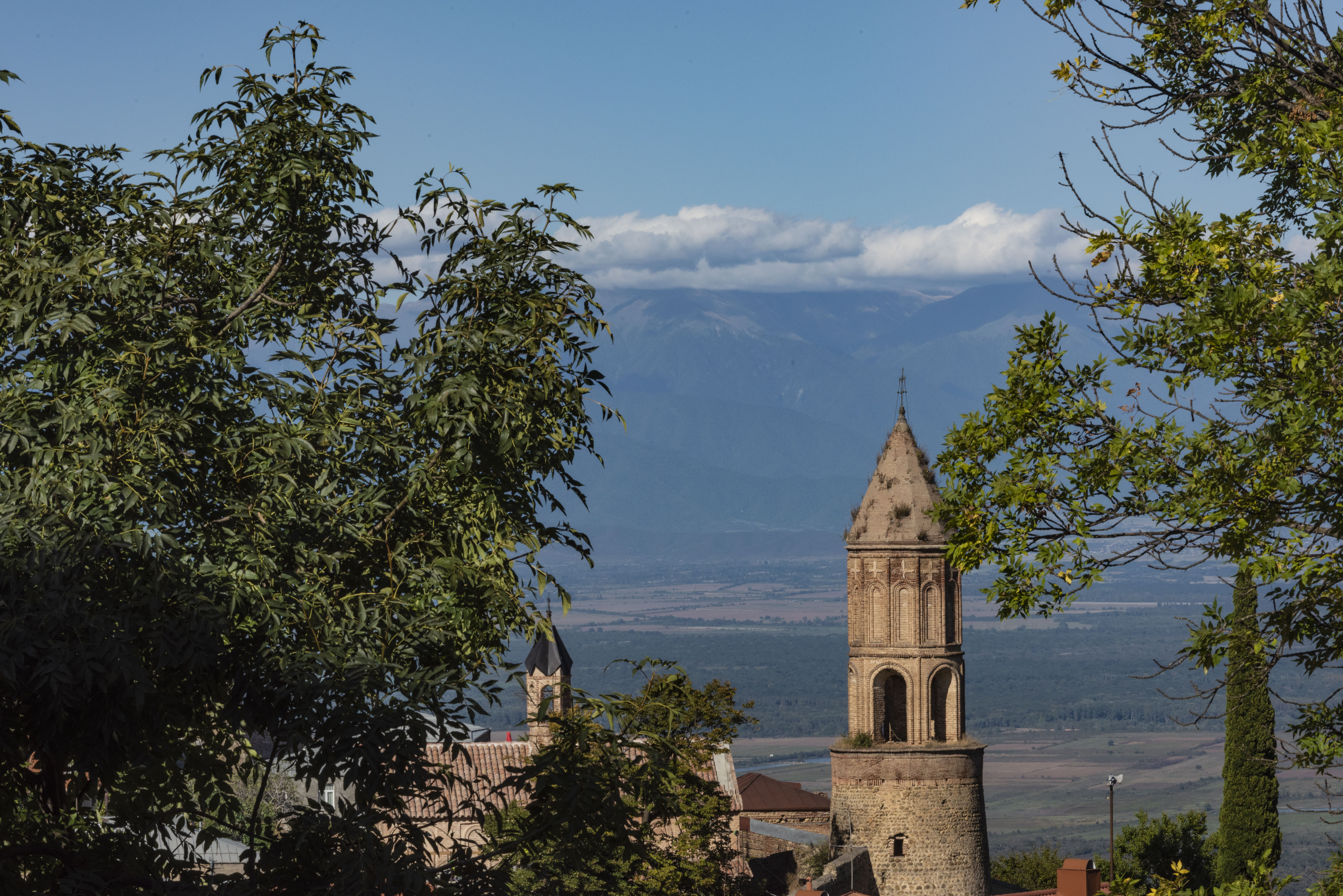 鑸屽皷涓婄殑缇庨甯冮噷浜氱壒,鑸屽皷涓婄殑涓浗缇庨甯冮噷浜氱壒鍖呭瓙