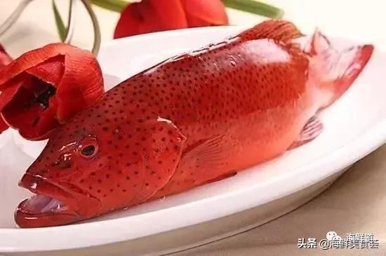 好吃不贵的海鲜种类有哪些,最好吃又最常见海鲜有几种