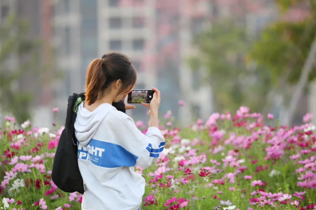 珠海买房过冬真实感受,在珠海买房十大秘诀