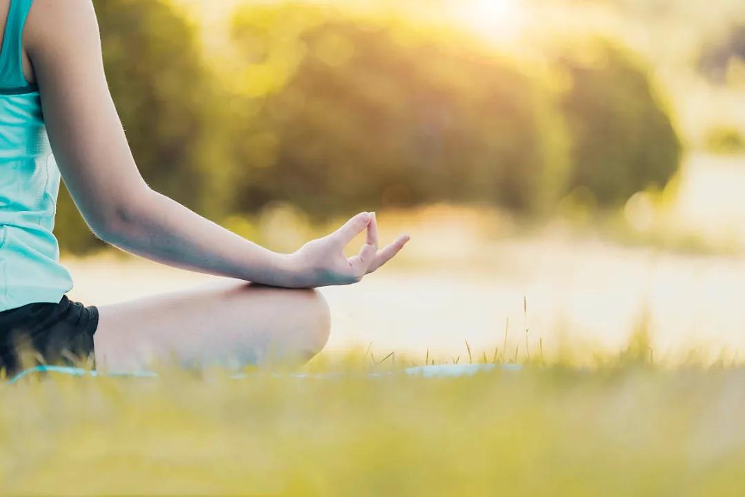 荷心瑜伽深度冥想静心,穿过竹林的风瑜伽冥想减压