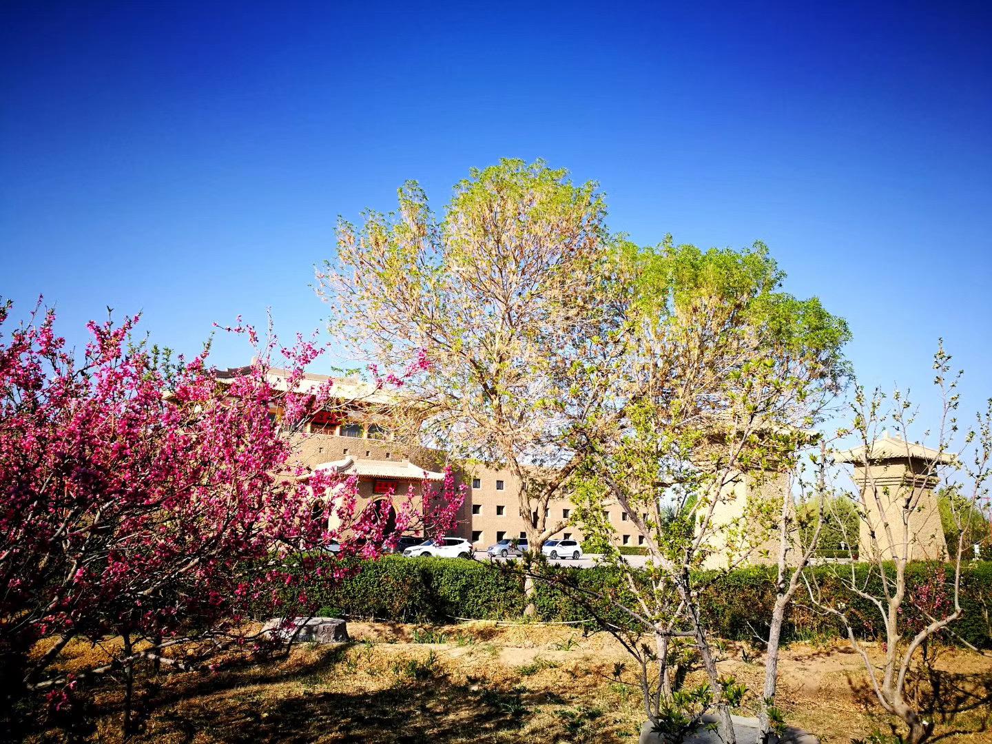 敦煌市创建全国文明城市综述,抓文旅抓文明创建