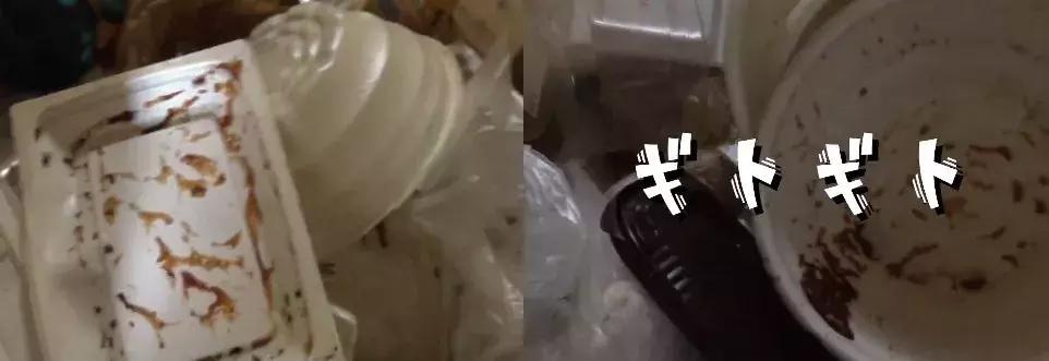 强迫症级家政服务，处理垃圾就要一万多元