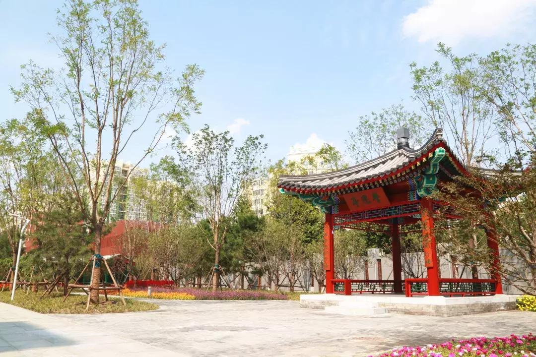 西城教育格局,西城区161中学分校如何