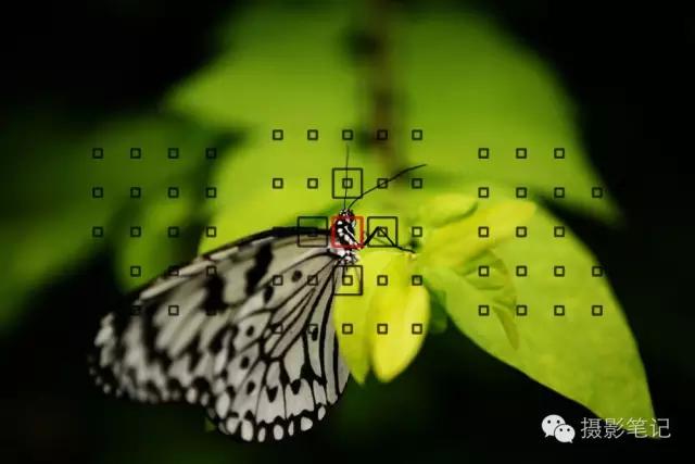 6个标准训练你成为强者,6个高效训练动作