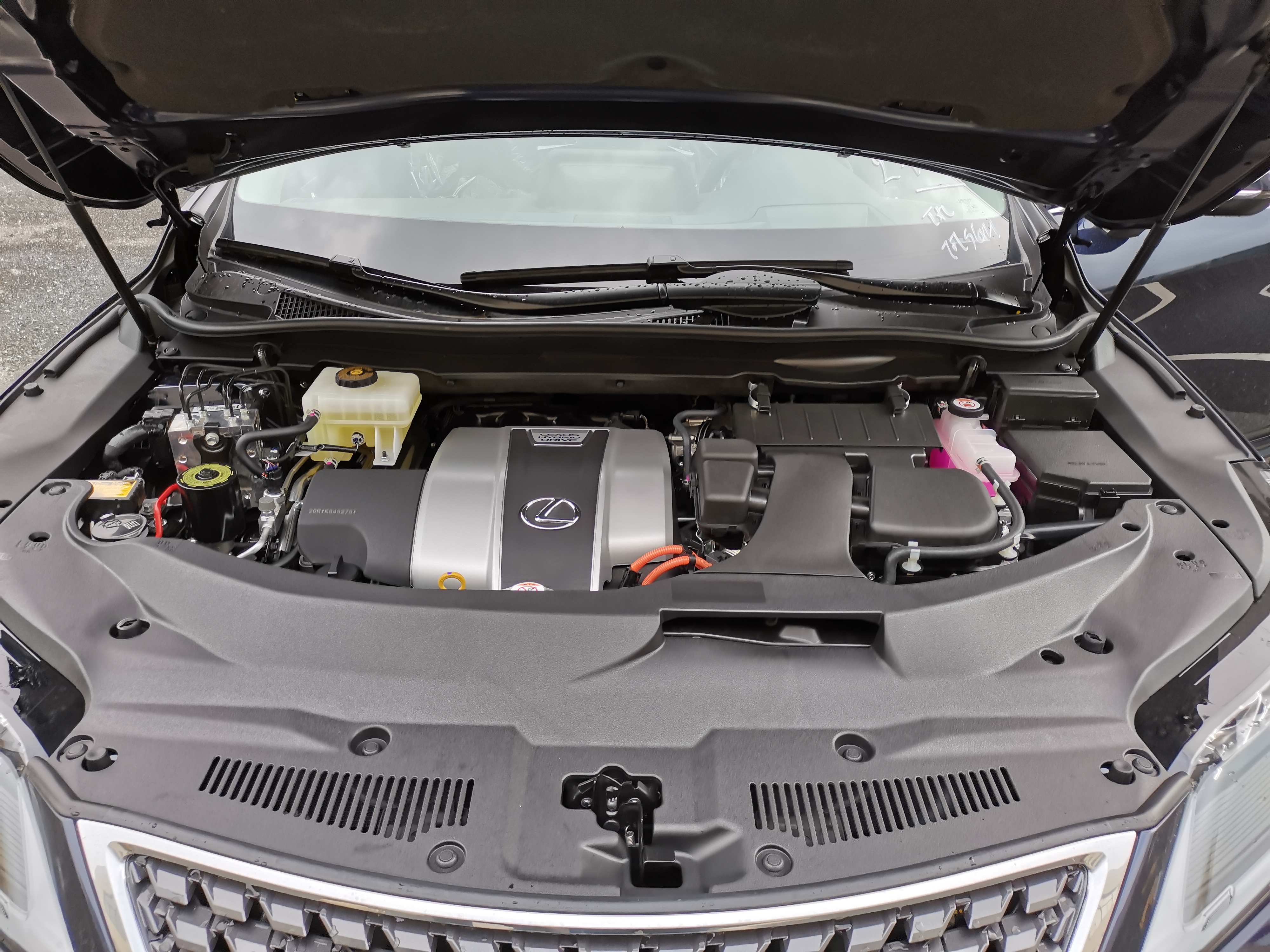 为什么那么多人喜欢雷车,雷车为什么受欢迎