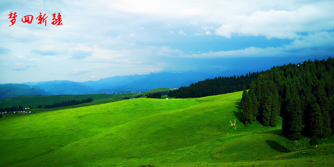 梦回新疆梦回拉萨,梦回伊宁草原视频